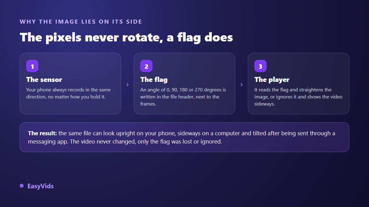 Diagram showing why phone video plays sideways: sensor, orientation flag stored in the file, player behaviour