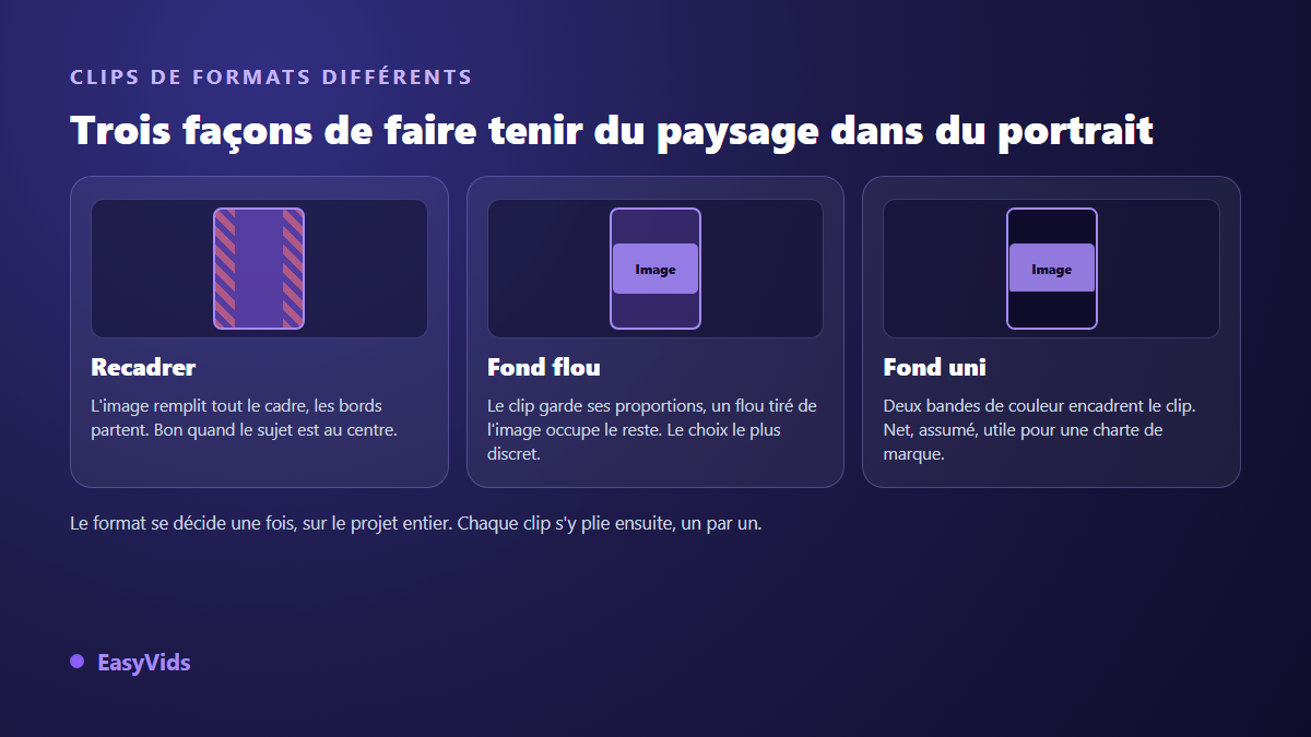 Trois solutions pour intégrer un clip paysage dans un montage vertical : recadrage, fond flou, fond de couleur unie