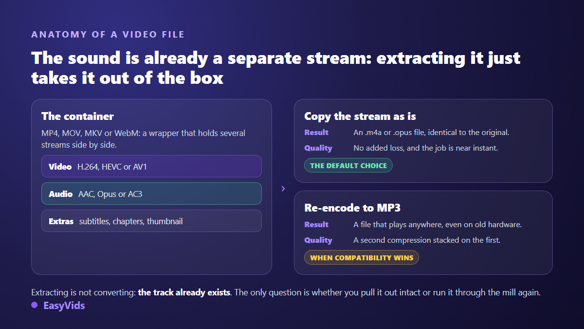 Anatomy of a video file: MP4 container, video stream, AAC or Opus audio stream, and the two possible outputs, stream copy or MP3 conversion