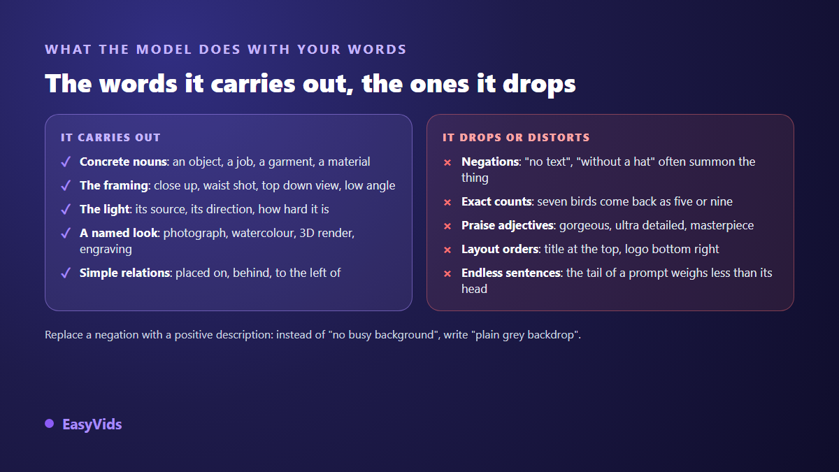 Which words a text to image model carries out and which ones it ignores, with the rule about negations